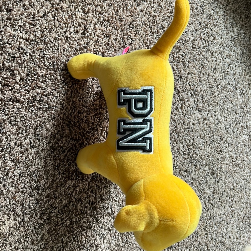 Pink dog
